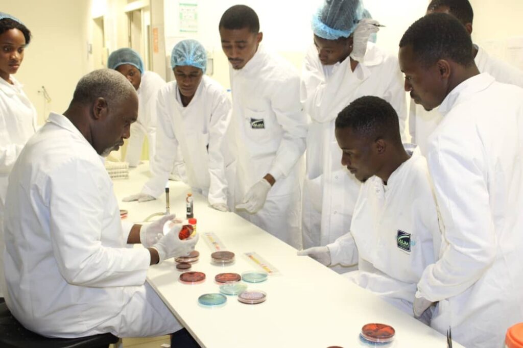 Travaux en laboratoire des étudiants en biotechnologies